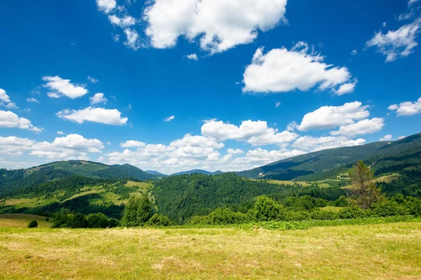 Ländliches Feld Den Bergen Schöne Naturlandschaft Sonniger Sommertag Wolken Himmel — Stockfoto