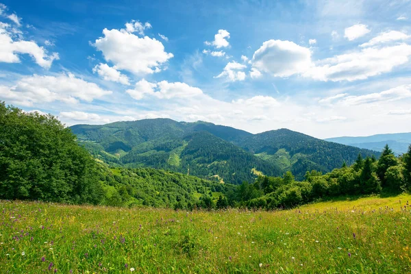 山の草の牧草地 素晴らしい自然景観です 晴れた夏の日 空の雲 — ストック写真