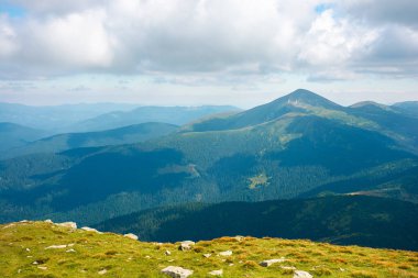 Yazın Karpatlar 'ın dağ manzarası. Hoverla tepesi ve kornohora sırtı. bulutlu öğleden sonra hava