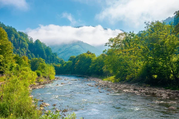 Rivière Dans Vallée Par Une Matinée Brumeuse Magnifique Paysage Été — Photo