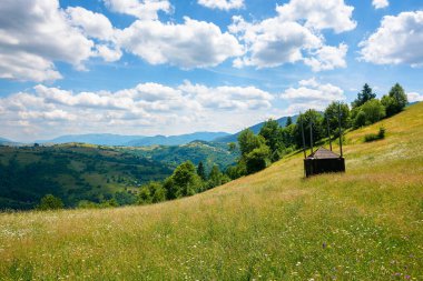 Yazın tepede çimenli otlaklar. Sahada boş bir saman kulübesi. Güneşli bir günde dağların kırsal kesimlerinde karpatlar. Gökyüzü bulutlu uzak tepenin üstünde