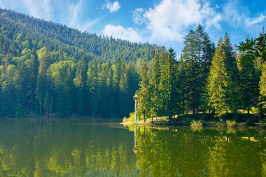 Sabah Dağ Gölü 'nde. Suya yansıyan ormanlı yaz manzarası. Karpat Dağları, Ukrayna 'daki Synevyr Ulusal Parkı' nın doğa manzarası. Mavi gökyüzünde bulutlu güneşli bir hava