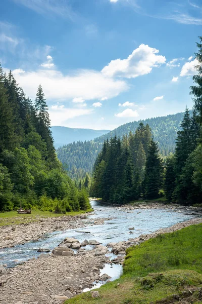 Nature Scene Mountain River Spring Vacation Sunny Valley Synevyr National — 스톡 사진