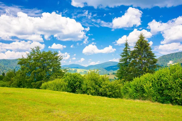 Krajina Letní Krajina Horách Stromy Travnaté Louce Venkovská Pole Vzdálených — Stock fotografie