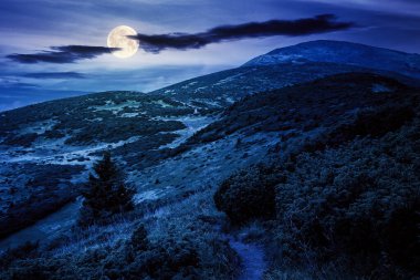 Alp otlağının tepesine, gece vakti uzak zirveye giden patika. Yaz mevsiminde, dolunay ışığında güzel bir dağ manzarası. Gökyüzündeki bulutlar. seyahat kırsal kavramı