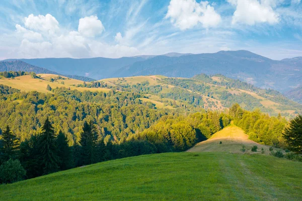 喀尔巴阡山乡村风景在早晨 茂密的小山 长满了青草的草地 滚落在山谷里 在蓝天下远处的山脊上布满了云彩 — 图库照片