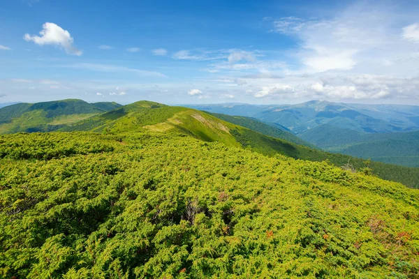 Horská Krajina Létě Krásná Scenérie Slunečného Dne Pohled Vzdáleného Hřebene — Stock fotografie
