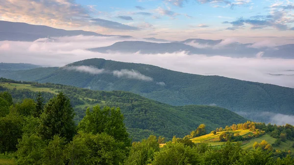 Hornatá Krajina Úsvitu Vzdáleného Mlžného Údolí Valily Stromy Zemědělská Pole — Stock fotografie