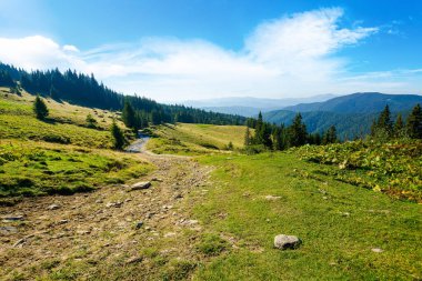 Ormanlık tepeler ve çayırlar boyunca kırsal yol. Parlak güneşli bir sabahta yaz dağı manzarası. Mavi gökyüzündeki bulutlar