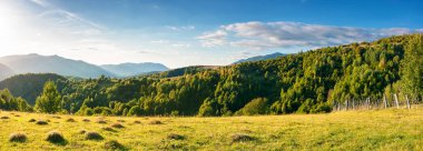 Gün batımında dağlarda kırsal manzara. Çimenli tepelerdeki ağaçlar ve tarlalar. Transcarpathia bölgesinin güzel kırsal manzarası, Ukrayna, akşam ışığında. Sonbaharda harika güneşli hava
