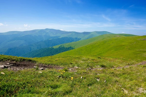 Travnaté Kopce Louky Pohoří Borzhava Nádherná Letní Krajina Poledne Vysoké — Stock fotografie