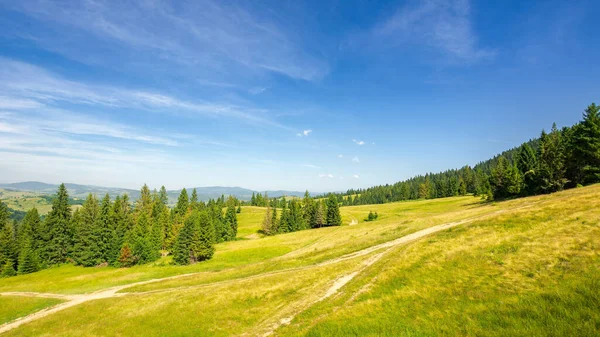 Zalesněný Kopec Karpatských Hor Stezka Přes Louku Slunečný Večer Modrou — Stock fotografie