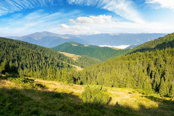 Piękny Górski Krajobraz Porannym Świetle Las Iglasty Stromych Wzgórzach Wspaniałe — Zdjęcie stockowe