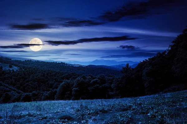 夜晚喀尔巴阡山的乡村风景 在黑暗的天空下 在满月的光芒下 一片绿色的草地 山上的树 — 图库照片