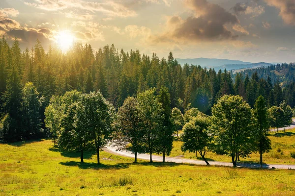 Bergslandskap Vid Solnedgången Träd Ängen Utmed Vägen Barrskog Kullarna Kvällsljus — Stockfoto