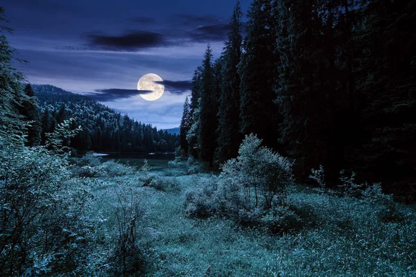 夜晚的切耶夫湖国家公园 喀尔巴阡山脉美丽的夏景 月全食 乌克兰最受欢迎的旅游目的地 针叶林中的神秘环境 — 图库照片