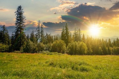 Gün batımında çimenli yamaçta ladin ormanları. Dağlardaki güzel doğa manzarası. Uzak tepenin üzerinde akşam ışığında dramatik bir gökyüzü olan yaz manzarası. taşra kavramını keşfet