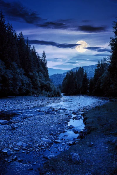渓流は森林谷を流れる 夏の夜の田園風景 満月の光の中で海岸の木々や石 水の量が少ない 川の浅瀬や干ばつの概念は — ストック写真
