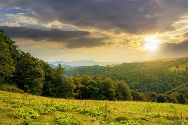 Gün batımında dağlarda kırsal alan. Akşam ışığında dramatik gökyüzü altında yeşil çayır. Tepedeki ağaçlar