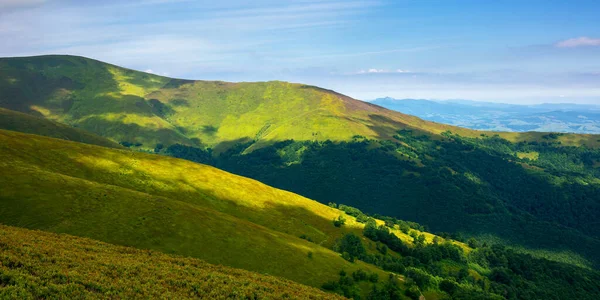 Sanfte Hügel Und Wiesen Des Borzhava Berges Wunderschöne Naturlandschaft Mit — Stockfoto