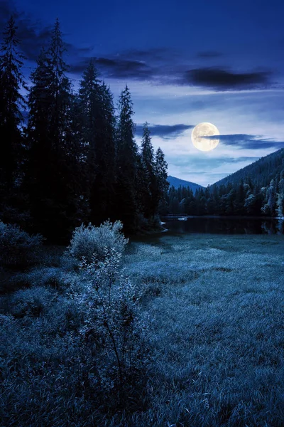 Gece Vakti Synevyr Ulusal Parkı Gölü Nde Karpat Dağlarının Dolunay — Stok fotoğraf