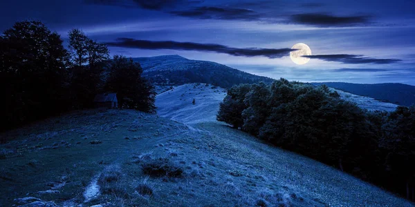 Vacker Ukrainsk Landsbygd Natten Gräsbevuxna Ängar Och Kullar Mörk Himmel — Stockfoto