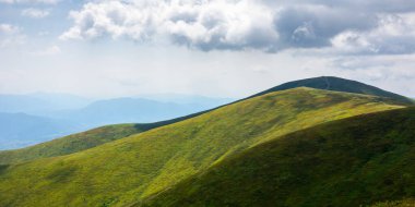 Yuvarlanan tepeler Borzhava sırtı çayırları. Benekli ışıkta çimenli yamaçları olan güzel doğa manzarası. Güneşli bir günde Ukrayna Karpatlar 'ın muhteşem yaz manzarası