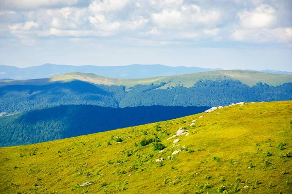 Bergwiese Nachmittagslicht Schöne Landschaft Mit Wolken Über Dem Horizont Wunderbare — Stockfoto