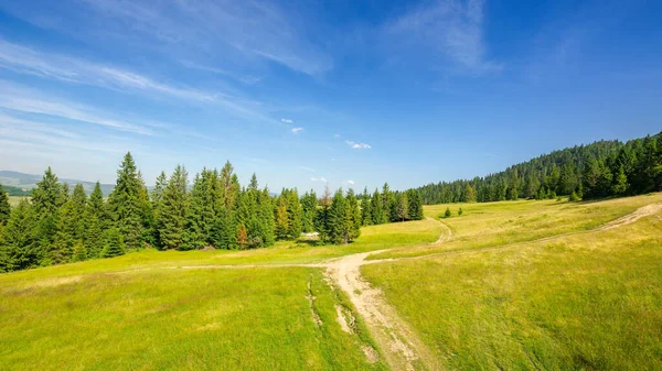 喀尔巴阡山脉森林覆盖的小山 穿过草地的小径 阳光灿烂的黄昏 蓝天在远处的山脊之上 — 图库照片