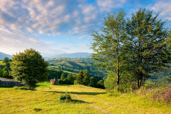 晨光下的乡村风景 喀尔巴阡山的乡村美景盛夏 山上的树木 田野和草地 明亮的蓝天 远处的山脊上有蓬松的云彩 — 图库照片