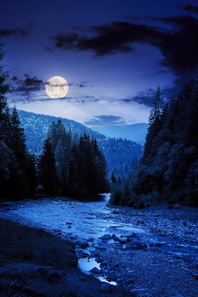 mountain river runs through forested valley. countryside scenery on a summer night. trees and stones on the shore in full moon light. low ammount of water. stream shallowing or drought concept