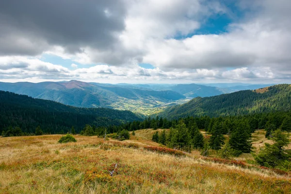 Mountain Landscape Dramatic Weather Beautiful Carpathian Countryside Autumn Coniferous Trees — Stock Photo, Image