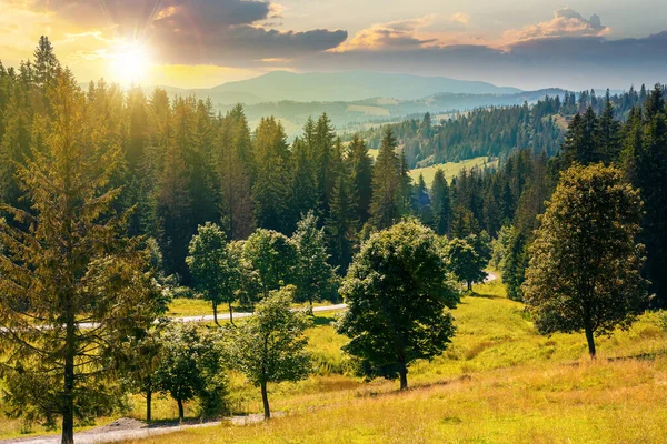Гірський Сільський Пейзаж Заході Сонця Дерева Лузі Вздовж Дороги Хвойні — стокове фото