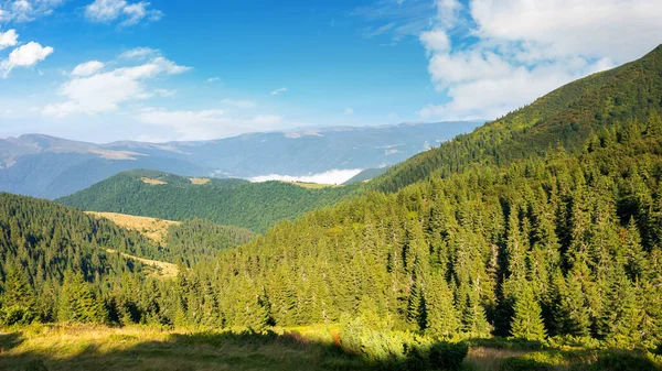 Idyllic Mountain Scenery Morning Light Evergreen Trees Steep Hills Wonderful — Stock Photo, Image