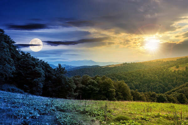 time change above countryside landscape. carpathian mountains beneath a sky with sun and moon above horizon. green hills and meadows in twilight. trees on the hill