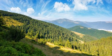 Sabah ışığında cennet gibi bir dağ manzarası. Dik tepelerde daima yeşil ağaçlar. Karpatların harika yaz manzarası. Mavi gökyüzünde muhteşem bulutlar var.