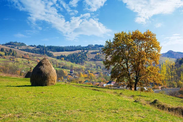Tree Haystack Fall Foliage Hill Autumnal Rural Scenery Sunny Day — Stock Photo, Image