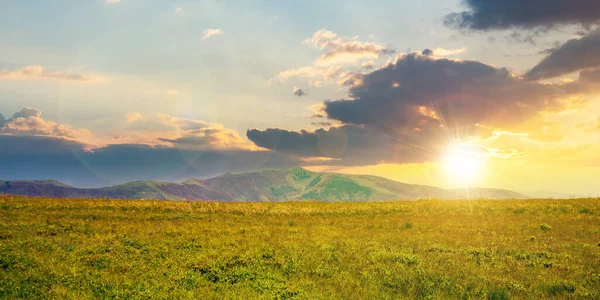 Prairie Alpine Été Coucher Soleil Beau Paysage Carpates Dans Lumière — Photo