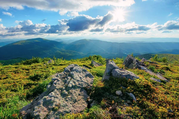 Alpine Meadow Carpathian Mountains Summer View Distant Valley Afternoon Light — Stock Photo, Image