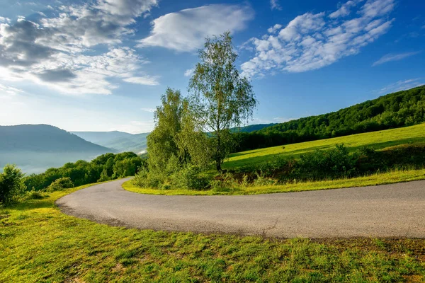 Landweg Heuvel Mooie Reisachtergrond Zonnig Ochtendweer Bergen Bomen Langs Het — Stockfoto