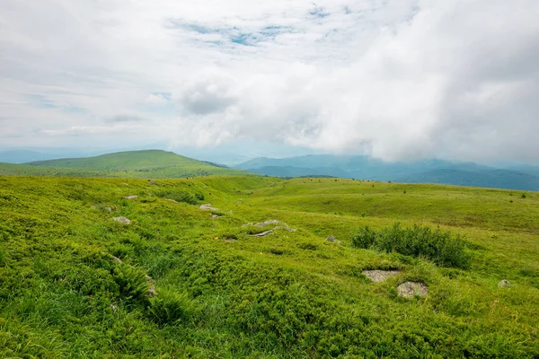 Grüne Naturlandschaft Schöne Sommerlandschaft Den Bergen Steine Auf Den Grasbewachsenen — Stockfoto