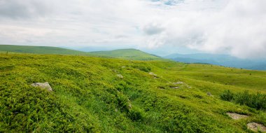 Yaz dağı manzarası. Güzel doğa manzarası. Çimenli tepelerdeki taşlar bulutlu bir gökyüzünün altındaki uzak tepeye doğru yuvarlanıyor. geri dönüş ülke konsepti