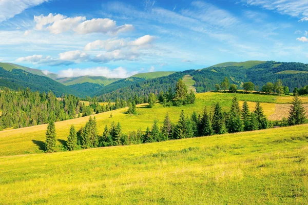 Lantligt Sommarlandskap Ängar Betesmarker Och Skog Kullarna Bergiga Landskap Ljus — Stockfoto