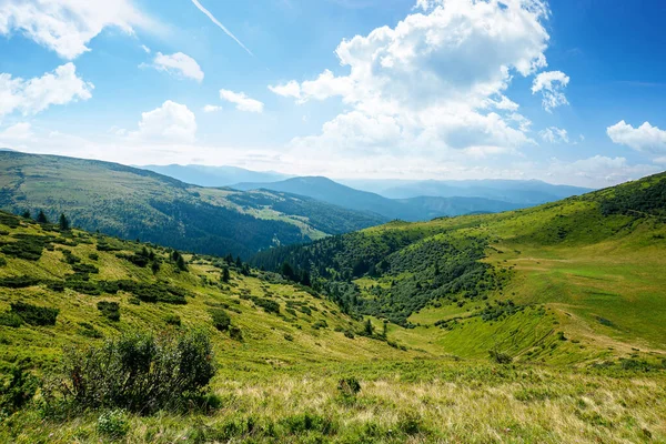 Paesaggio Montano Carpatico Brillante Mattone Paesaggi Bellissimi Con Verdi Colline — Foto Stock