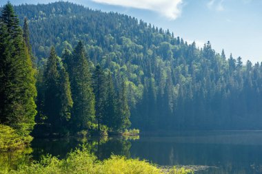 Sabahları dağ gölü manzarası. Suyun etrafındaki barışçıl kozalaklı ormanlar. Belirsiz bir atmosfer. Parlak güneşli hava, mavi gökyüzünde bulutlar.