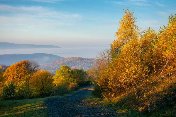 Jesienna Wieś Karpackich Gór Droga Szczycie Wzgórza Drzewa Jasnożółtych Liściach — Zdjęcie stockowe