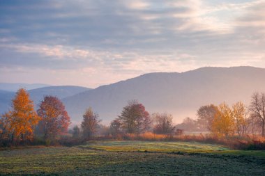 Güneşin doğuşunda sisli kırsal alan. Sonbahar sezonunun sonlarında dağlık güzel bir kırsal bölge. Boş alanlar. Kırmızı ve turuncu yapraklı ağaçlar. puslu atmosfer