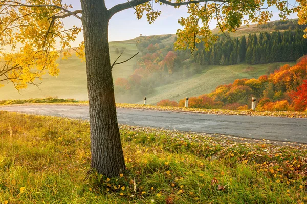 Campagne Route Montagne Coucher Soleil Arbres Dans Feuillage Coloré Long — Photo