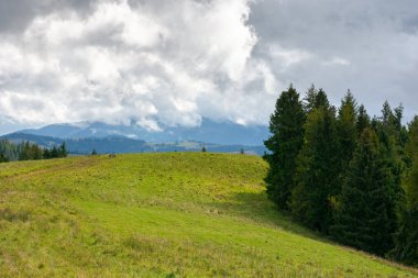 Sonbaharın başlarında dağlık bir kırsal. Yuvarlanan tepedeki ağaçlar ve çimenli çayırlar. Güneşli bir günde dramatik gökyüzü olan doğa manzarası. Rüzgarlı hava ve benekli ışık