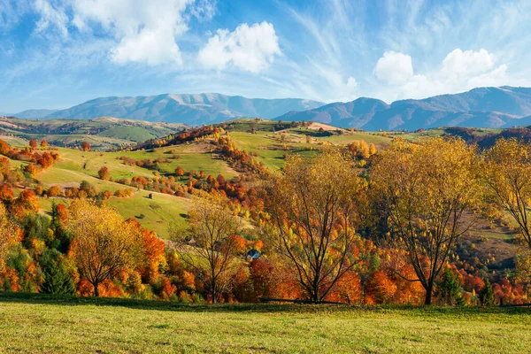 Paisaje Otoño Campo Hermoso Paisaje Rural Por Tarde Árboles Colorido — Foto de Stock